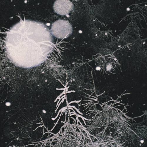 Over The Voids : Over the Voids